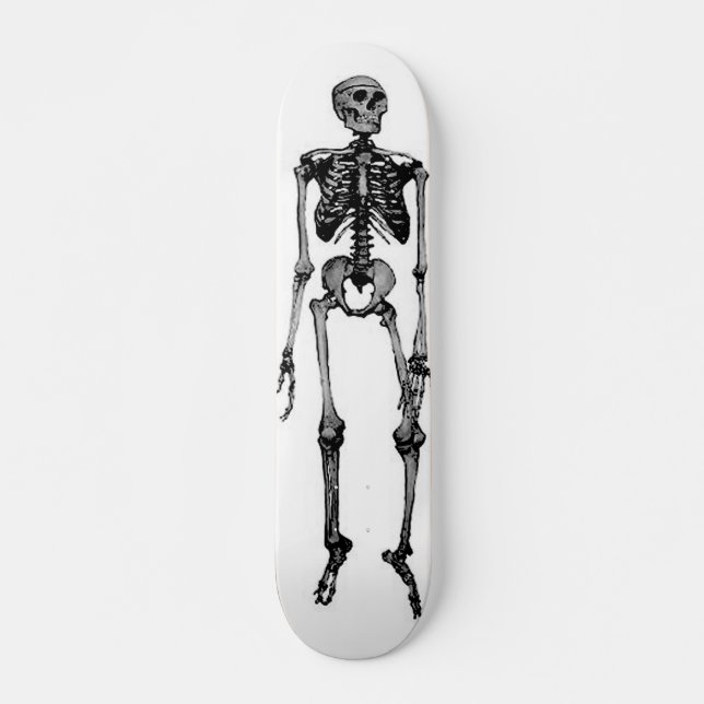 SKATEBOARD, SKELETT SKATEBOARD (Vorne)