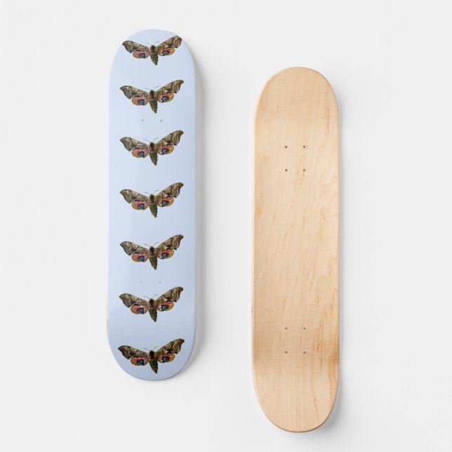 Skateboard Smerinthus ocellata - Image couleur faucon-teint (Recto)
