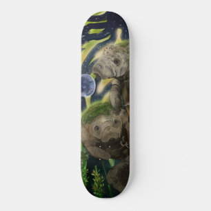 Skateboard Solde fragile géré