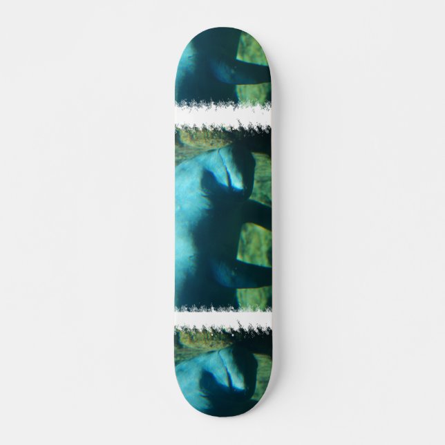 Skateboard Sous la planche à roulettes de lamantin de l'eau (Devant)