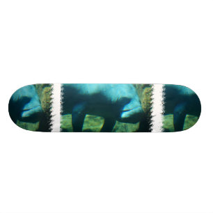 Skateboard Sous la planche à roulettes de lamantin de l'eau