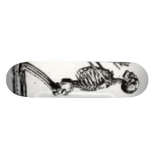 Skateboard squelette