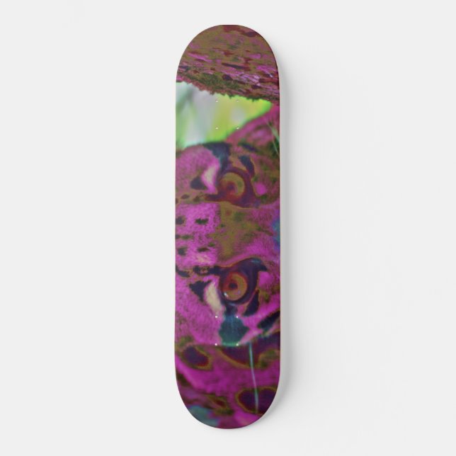 Skateboard Stalking Prey (Recto)