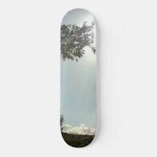 SKATEBOARD-STIL UND DESIGN SKATEBOARD