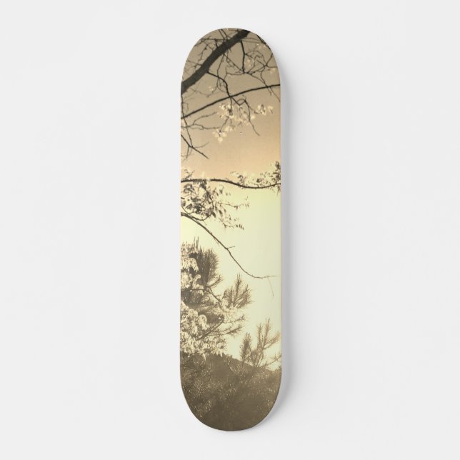 SKATEBOARD-STIL UND DESIGN SKATEBOARD (Vorne)