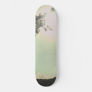 SKATEBOARD-STIL UND DESIGN SKATEBOARD