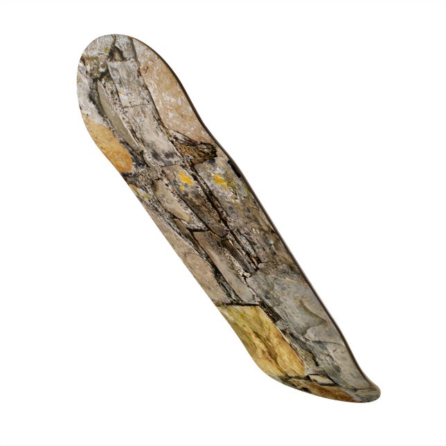 Skateboard "Stone" (Vorderseite)