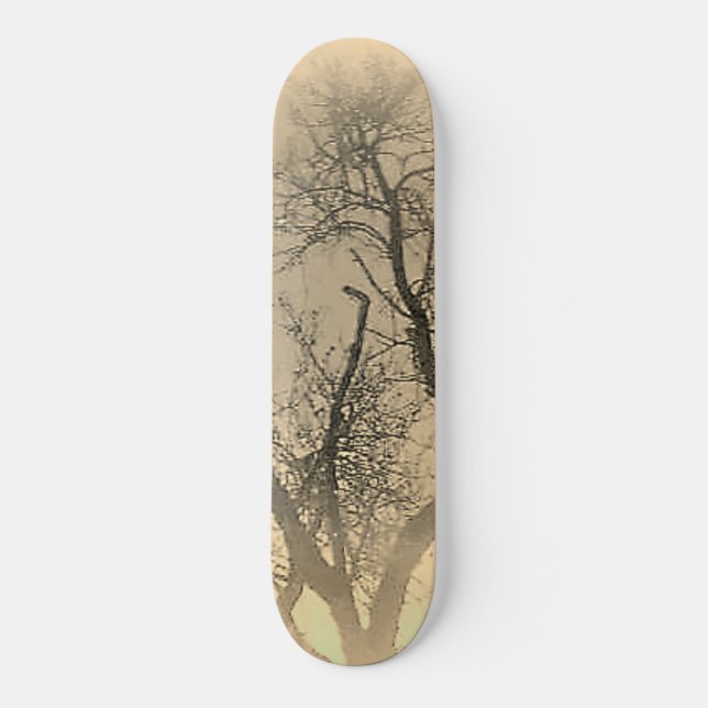 SKATEBOARD STYLE UND DESIGN (Vorderseite)