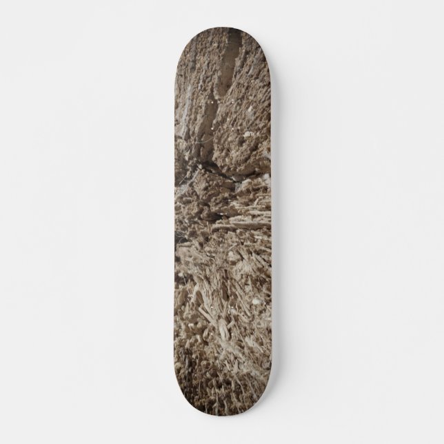 SKATEBOARD STYLE UND DESIGN (Vorne)