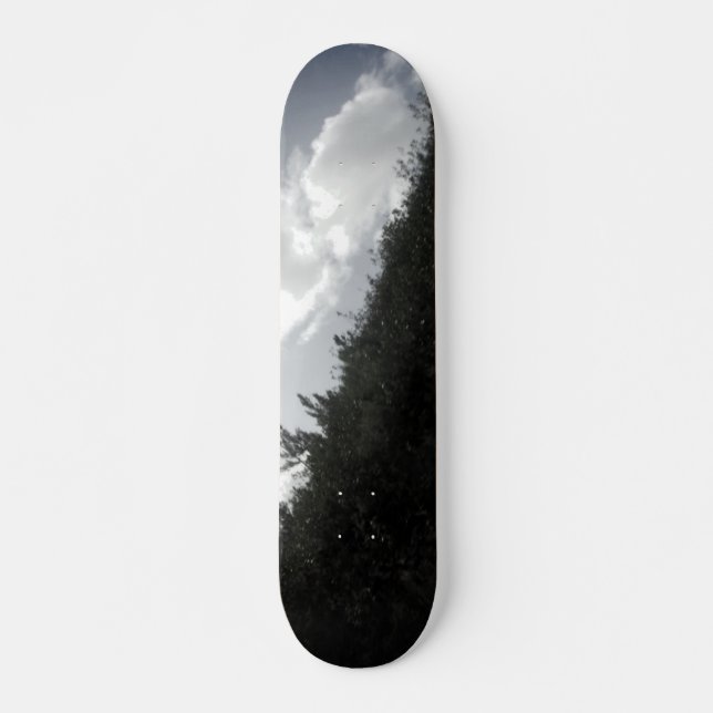 SKATEBOARD STYLE UND DESIGN (Vorne)
