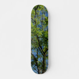 SKATEBOARD STYLE UND DESIGN