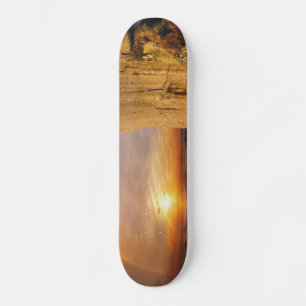 Skateboard Sun Set Sea Cliff