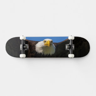 Skateboard Survol de pygargue à tête blanche de près