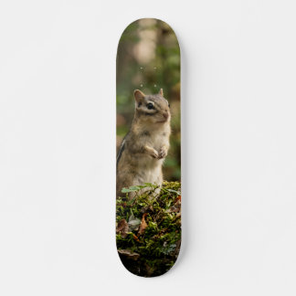Skateboard Tabla de Skate Ardilla Silvestre Alerta