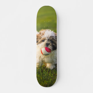 Skateboard Tabla de Skate Perrito Peludo con su pelota