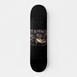 Skateboard Tableau de patinage de chiens