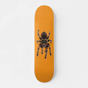 Skateboard Tarantula orange