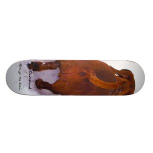 Skateboard Teckel par la neige se précipitant par la neige