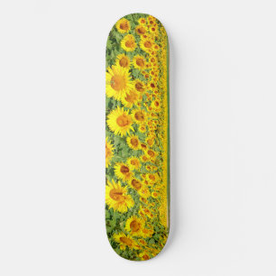 Skateboard Terrain de tournesol