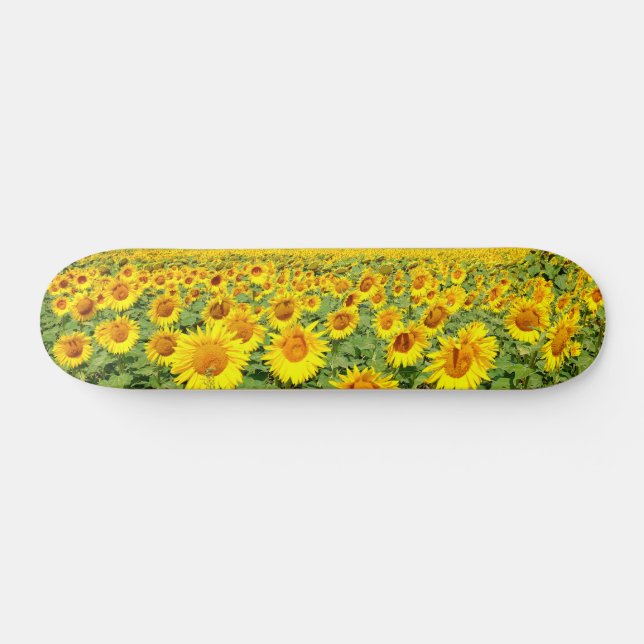 Skateboard Terrain de tournesol (Horz)