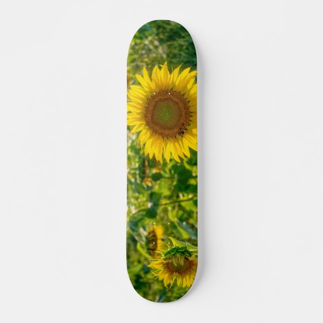 Skateboard Terrain de tournesol doré (Devant)
