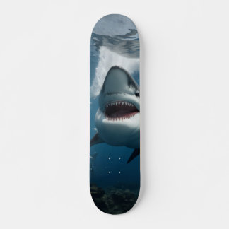 Skateboard Tiburón en el Mar Azul