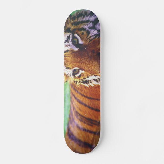 Skateboard Tigre de planche à roulettes (Recto)