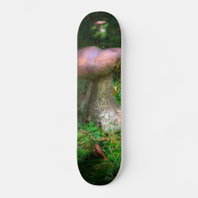 Skateboard Toadstool de laine de laine / Champignons (Recto)