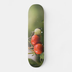 Skateboard tomates mouillées sur la vigne