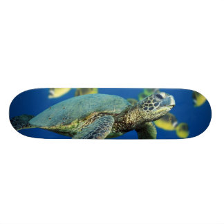 Skateboard Tortue de mer verte