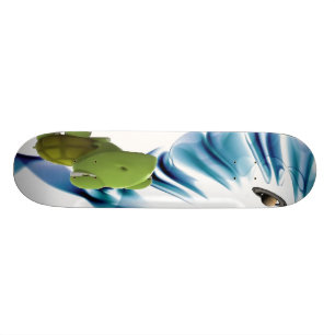 Skateboard Tortue Saturn