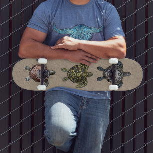 Skateboard Tortues
