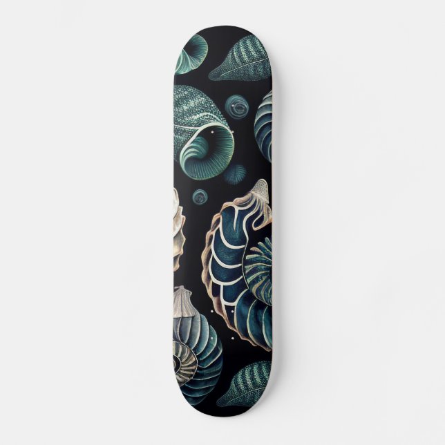 Skateboard Trésors marins (Recto)