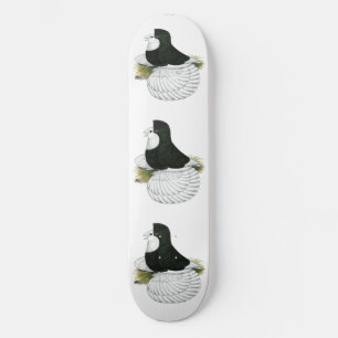 Skateboard Trumpeter Pigeon tête noire