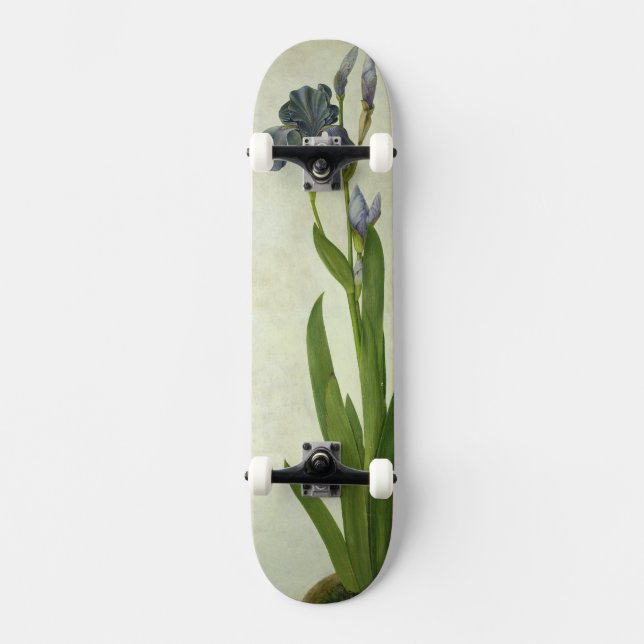 Skateboard Un iris (Recto)