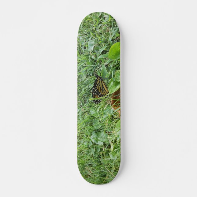 Skateboard Un papillon monarque (Devant)