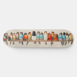Skateboard Une perche d'oiseaux illustration vintage