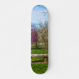 Skateboard Une saison printanière
