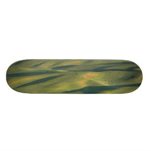 Skateboard USA, WA, Whitman Co., Palouse Farm Fields from