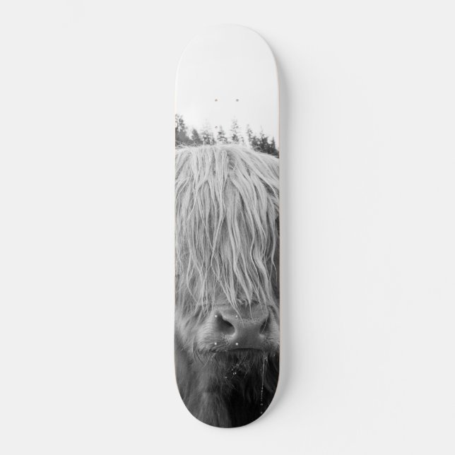 Skateboard Vache Highland #6 #mur #art (Recto)