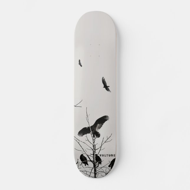 Skateboard valture (Recto)