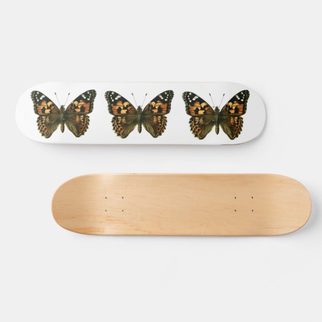 Skateboard Vanessa cardui (Horz)