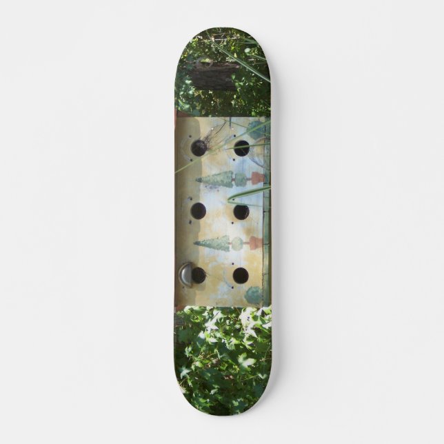 Skateboard Volière (Devant)