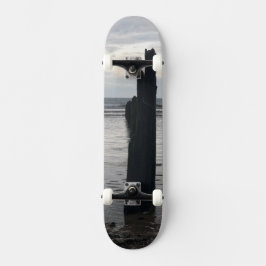 Skateboard Vue mer