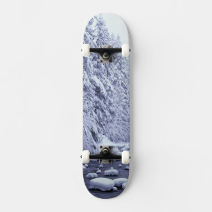 Skateboard WA, Forêt nationale du Mont Baker-Snoqualmie,