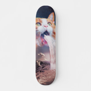 Skateboard Waterfall cat