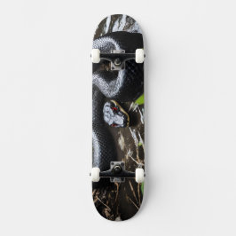 Skateboard with black anaconda
