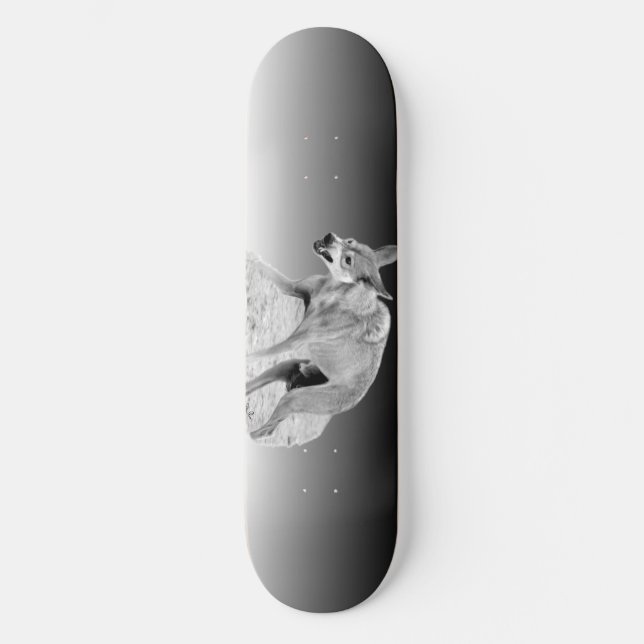 Skateboard Wolf Snarl (Recto)