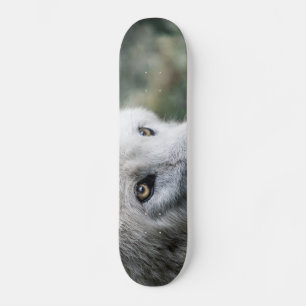 Skateboard Wolf Stare