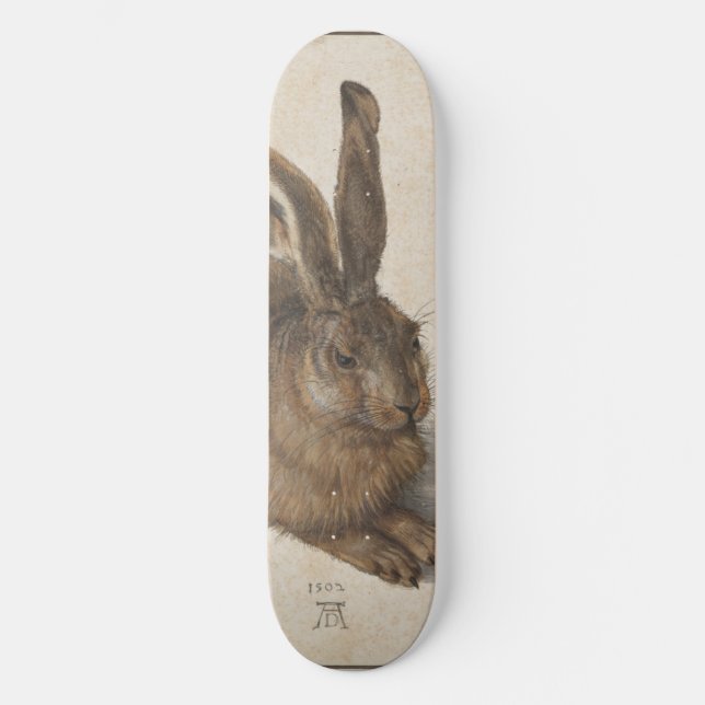 Skateboard Young Hare par Albrecht Durer (Recto)